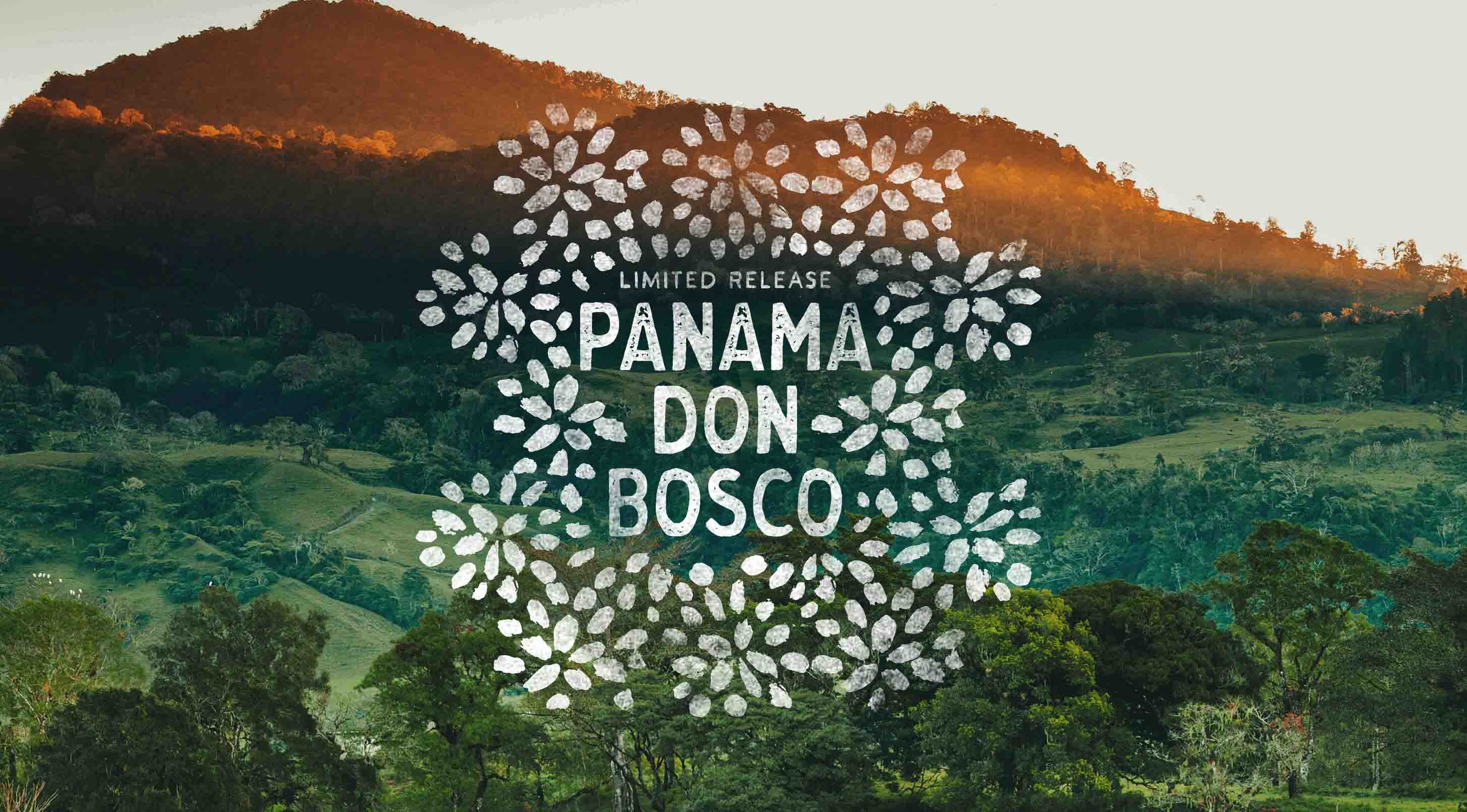 Panama Don Bosco logo with a scenic background of mountains and trees.